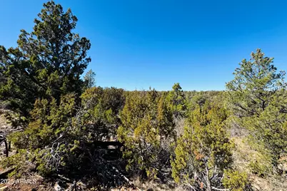 4108 Sunset Ridge Loop #135, Happy Jack, AZ 86024 - Photo 1