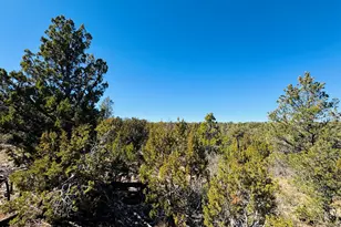4108 Sunset Ridge Loop, Happy Jack, AZ 86024 - Photo 1
