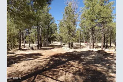 3900 Morning View, Happy Jack, AZ 86024 - Photo 1