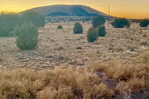 Tbd Co Rd 5106 --, Concho, AZ 85924 - Photo 1