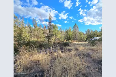 298 E Sharps Drive #22, Young, AZ 85554 - Photo 1