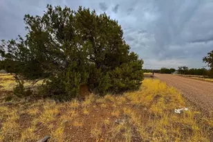 8512 Canyon, Show Low, AZ 85901 - Photo 1