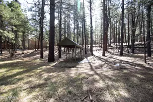 2607 Bailey, Forest Lakes, AZ 85931 - Photo 1