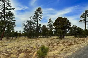 4109 Durango Dr, Happy Jack, AZ 86024 - Photo 1