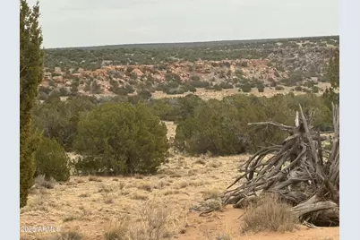 Lot 13 Witch Well Ranches -- #13, Saint Johns, AZ 85936 - Photo 1