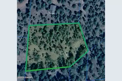 0 Lot 38 Noble Mountain Estates --, Nutrioso, AZ 85932 - Photo 1