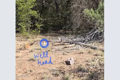 16E Naegelin, Young, AZ 85554 - Photo 1