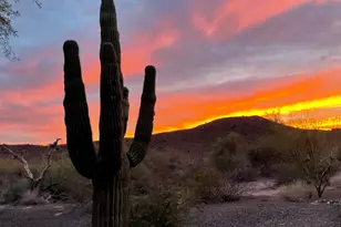 13045 W Fetlock, Peoria, AZ 85383 - Photo 1
