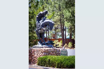 2407 Quarter Horse Trail #131, Overgaard, AZ 85933 - Photo 37