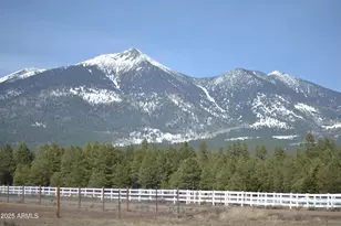 7199 N Snow Bowl, Flagstaff, AZ 86001 - Photo 1