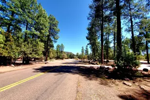 87 N Mistletoe, Pine, AZ 85544 - Photo 1