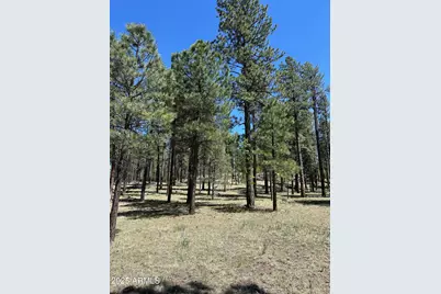 2184 N Highway 180, Alpine, AZ 85920 - Photo 1