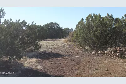 8588 Kaibab Lane #'-', Show Low, AZ 85901 - Photo 1