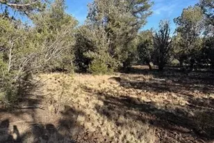 Anvil Anvil, Seligman, AZ 86337 - Photo 1