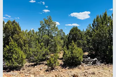 3585 Meadow Wood Drive #125, Happy Jack, AZ 86024 - Photo 1