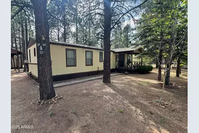 2898 Paint Pony, Overgaard, AZ 85933 - Photo 1