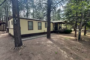 2898 Paint Pony, Overgaard, AZ 85933 - Photo 1