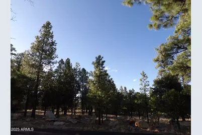6938 Mogollon Trail #83, Happy Jack, AZ 86024 - Photo 1