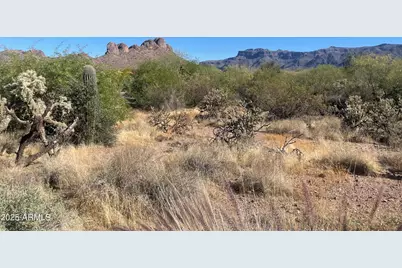 6083 S Alameda Road #168, Gold Canyon, AZ 85118 - Photo 1