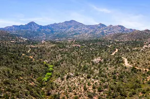 0000 W Appaloosa Trail, Peeples Valley, AZ 86332 - Photo 1