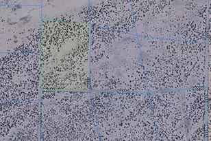 Tbd 38 Acres Woodland Valley Ranch --, Saint Johns, AZ 85936 - Photo 1