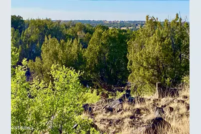 1528 Falcon Rd Lot A 10.33 Acres, Show Low, AZ 85901 - Photo 1
