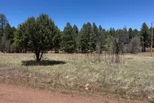 527 Summit, Pinedale, AZ 85934 - Photo 1