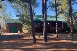 2676 Lodge, Overgaard, AZ 85933 - Photo 1