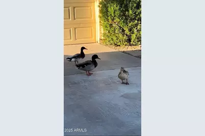 11028 W Crimson Lane, Avondale, AZ 85392 - Photo 25