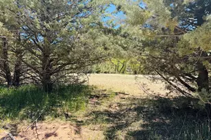 000 Juniper Rd, Pine, AZ 85544 - Photo 1