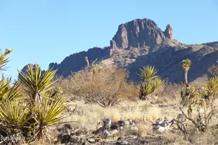 Lot 550 N Manor, Dolan Springs, AZ 86441 - Photo 1