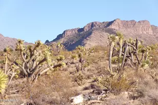 17096 N Manor, Dolan Springs, AZ 86441 - Photo 1