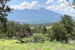 23320 Forest Service 548 Rd, Flagstaff, AZ 86001 - Photo 1
