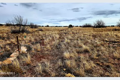 Lot 211 Dry Pasture, Heber, AZ 85928 - Photo 1