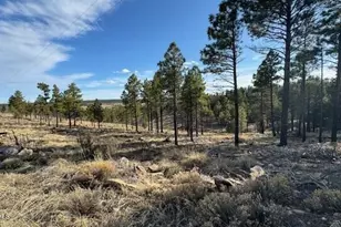 806 Eagle View, Happy Jack, AZ 86024 - Photo 1