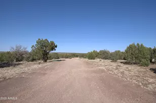 Tbd 304-12-020 A & B Dr, Show Low, AZ 85901 - Photo 1