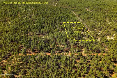 D-Tbd Birdsong, Lakeside, AZ 85929 - Photo 1