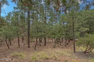 98 Trail End, Pine, AZ 85544 - Photo 1