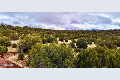 Tbd Co Rd 8256 Lot C 10 Acres, Concho, AZ 85924 - Photo 1