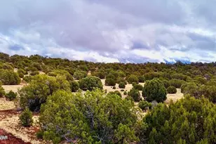 Tbd Co Rd 8256 Lot C 10 Acres, Concho, AZ 85924 - Photo 1