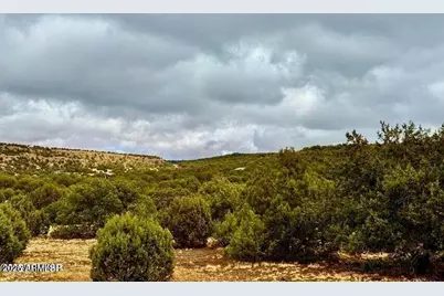 Tbd Co Rd 8256 Lot E 10 Acres, Concho, AZ 85924 - Photo 1