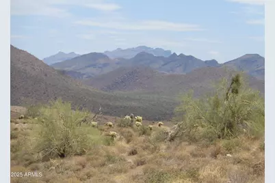 Lot 9 N N Ambush, Fort McDowell, AZ 85264 - Photo 1