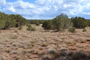 4161 Colt Rd, Snowflake, AZ 85937 - Photo 1