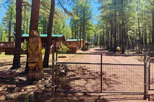 481 Long Valley, Happy Jack, AZ 86024 - Photo 1