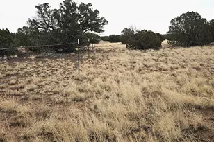 8387 High Plaines, Show Low, AZ 85901 - Photo 1