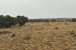 Lot 365 Arizona Park Estates Unit III --, Saint Johns, AZ 85936 - Photo 1