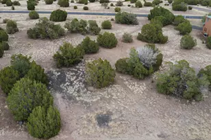 1927 Creekside, Show Low, AZ 85901 - Photo 1