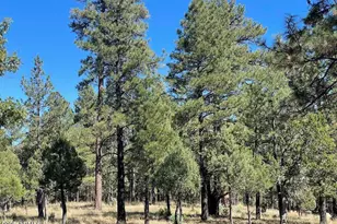 2634 San Juan, Happy Jack, AZ 86024 - Photo 1