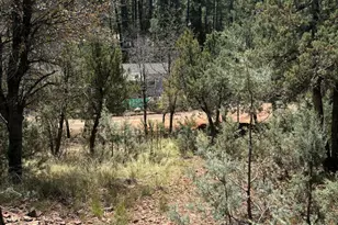 0 N Randall, Pine, AZ 85544 - Photo 1