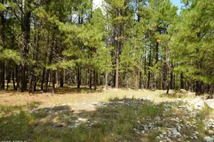 5131 Forest Service Road 137A Rd, Happy Jack, AZ 86024 - Photo 1